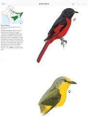 eguide to birds of the indian subcontinent ipad images 1