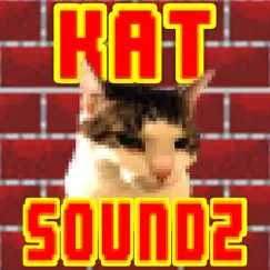 kedi sesleri (cat sounds) inceleme, yorumları