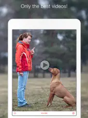 dog training school - learn how to train puppies ipad images 4