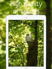 background noise white calming night sounds of fan ipad images 4