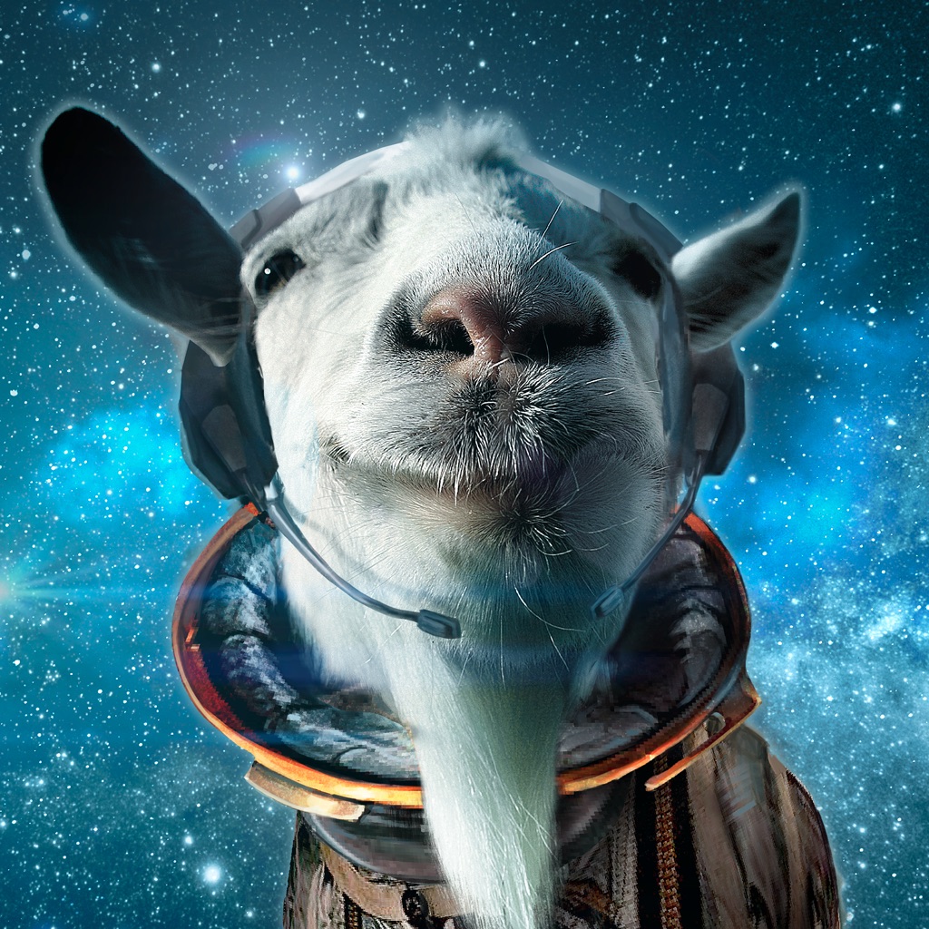 Goat simulator space