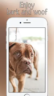 woof growl dog bark iphone images 1