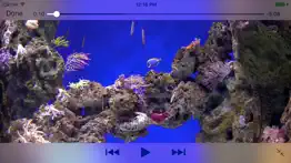 aquarium videos 4k iPhone Captures Décran 3