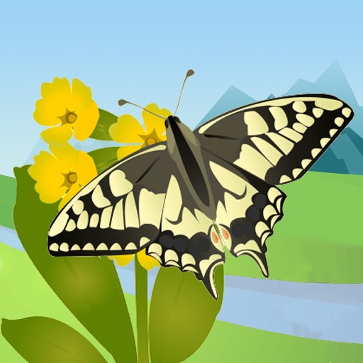 Butterfly Guide - Europe app reviews download