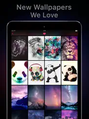featured of wallpapers & cool backgrounds app ipad images 4