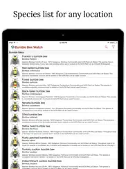 bumble bee watch ipad images 1
