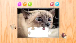 cat jigsaw puzzles game animals for adults iphone images 3