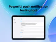 push hero - test notifications ipad capturas de pantalla 1