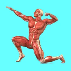 muscular system quizzes logo, reviews