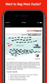 duck hunting spreads & diagrams - duck hunting app iphone images 1