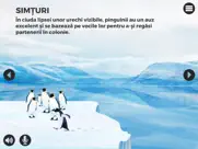 pinguini ipad capturas de pantalla 4