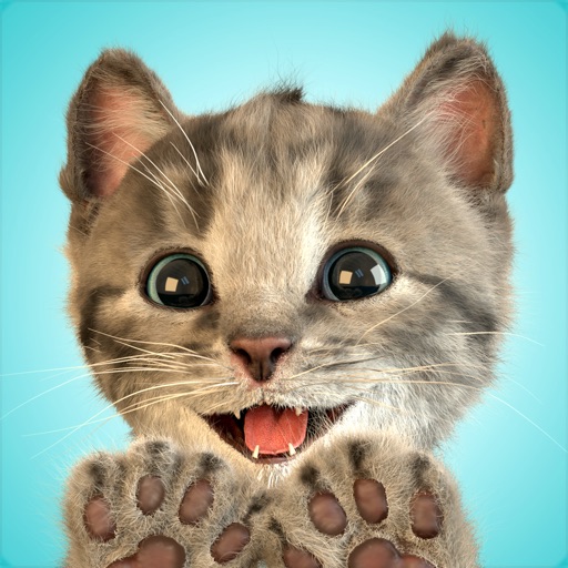 Little Kitten Favorite Pet Cat app reviews download