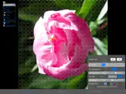 colorhints mosaic iPad Captures Décran 3