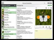 butterfly guide - europe iPad Captures Décran 1