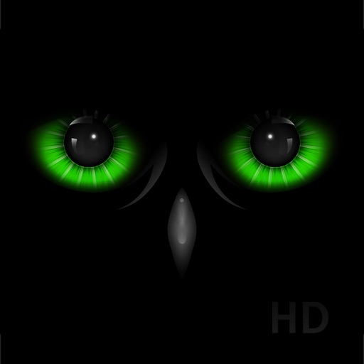 Night Eyes - Low Light Camera app reviews download