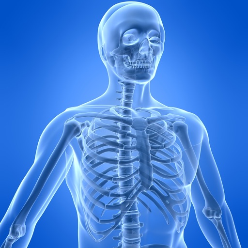 Learn Skeletal System app reviews download