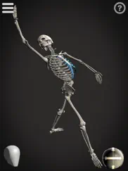 skelly - art model ipad images 3