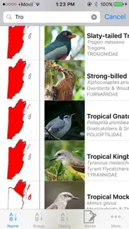 belize birds field guide iphone images 4