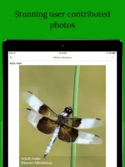 dragonfly damselfly id app ipad images 2