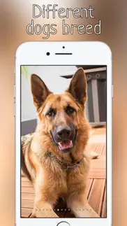 woof growl dog bark iphone images 2