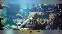 aquarium videos 4k iPhone Captures Décran 2