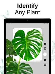 plants air - plant identifier ipad images 1
