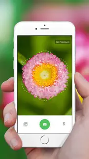 plant identification ++ iphone images 1