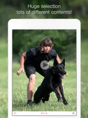 dog training school - learn how to train puppies ipad images 3