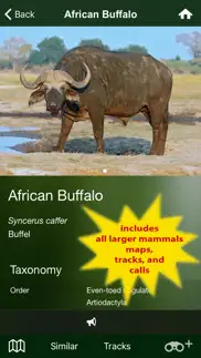 mammal guide of southern africa iphone images 2