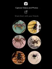 ar spiders & co: scare friends айпад изображения 3