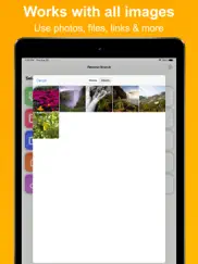 reverse search - image search ipad images 2