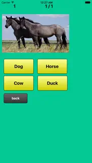 farm animals quiz iphone images 1