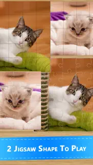 cute cat kedi yavrusu yapboz oyunları bebek çocuk iphone resimleri 3