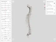 biomechanics of the spine lite ipad capturas de pantalla 2