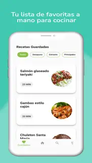 recetas saludables airfryer iphone capturas de pantalla 1