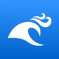 wisuki - wind and waves logo, reviews