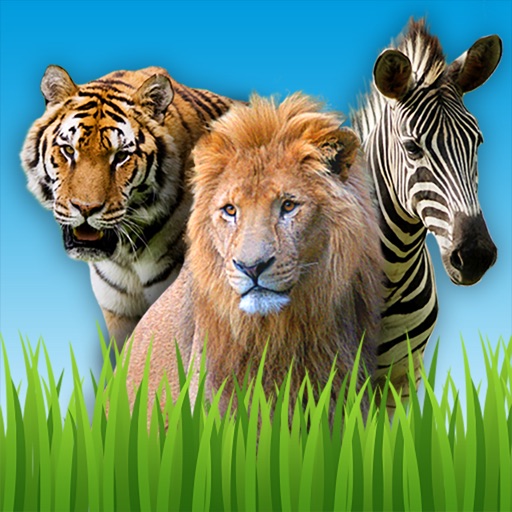 Zoo Sounds - Fun Educational Games for Kids app reviews download