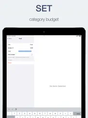 budget - money tracking ipad images 4