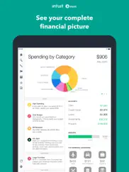 mint: budget & expense manager ipad images 1
