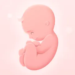 My Pregnancy App uygulama incelemesi