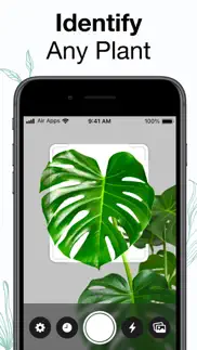 plants air - plant identifier iphone images 1
