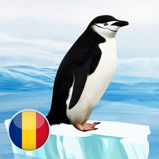 Pinguini app reviews download