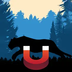 mountain lion magnet logo, reviews