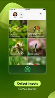 insect identifier iPhone Captures Décran 4
