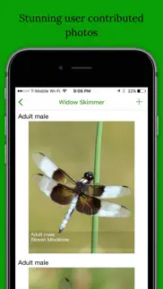 dragonfly damselfly id app iphone images 2