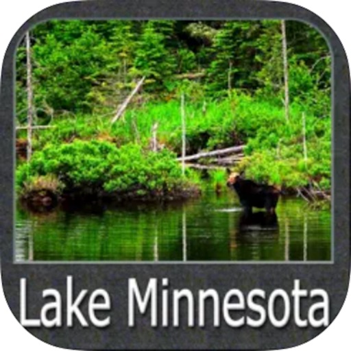 Minnesota Lakes Fishing Charts app reviews download