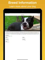 dog scan - breed identifier ipad images 2