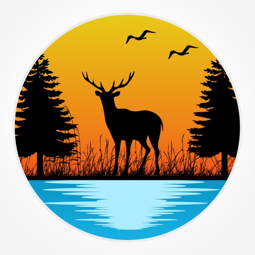 Forest Photo Frames app reviews download