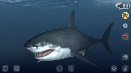 talking great white : my pet shark iphone images 1
