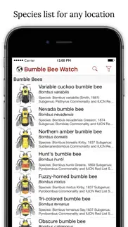 bumble bee watch iphone images 1